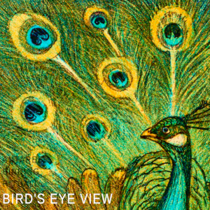cover art for Bird's Eye View, it reads the band's name and the track title over an old drawing of a peacock head